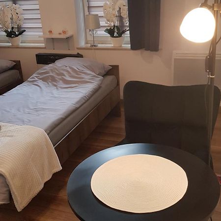 Komfortowy Apartament W Centrum Nowego Sacza Nowy Sącz Extérieur photo